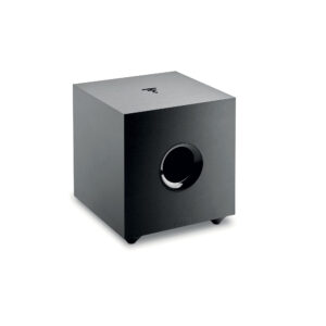 Focal Cub Evo