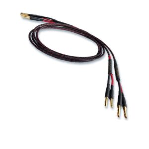 Audience Ohno III - HP (2x3 mètres)