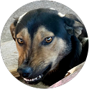 Tom FPV profile picture