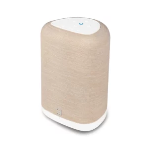 Bluesound enceinte Pulse Flex